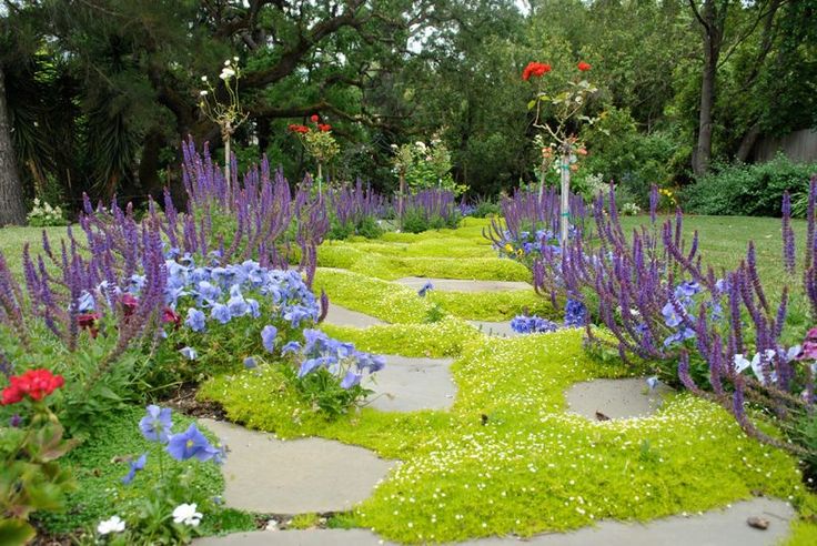 Low-maintenance lawn alternatives
