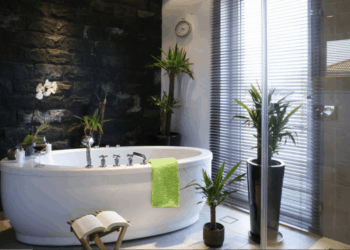 The Best Plants For A Bathroom