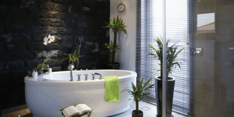 The Best Plants For A Bathroom