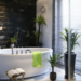 The Best Plants For A Bathroom
