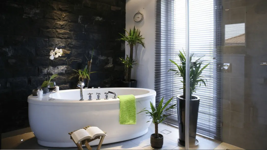 The Best Plants For A Bathroom