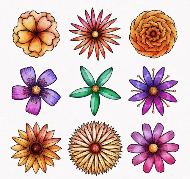 The Ultimate African Daisy Care Guide for Indoor Enthusiasts! 3 Osteospermum Plant