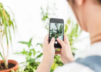 The Best 10 Free Plant Identification App