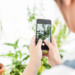 The Best 10 Free Plant Identification App