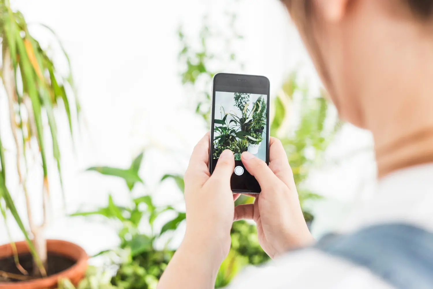 The Best 10 Free Plant Identification App