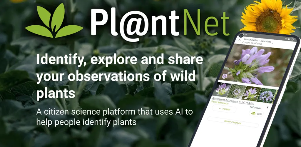 The Best 10 Free Plant Identification App 5 plant id app