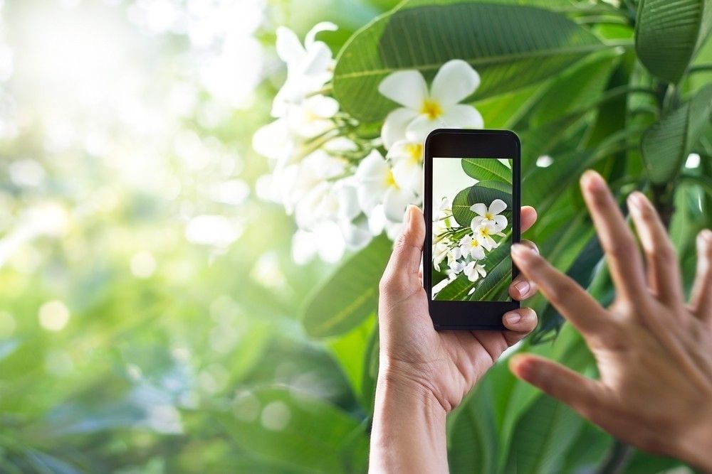 best plant id app
