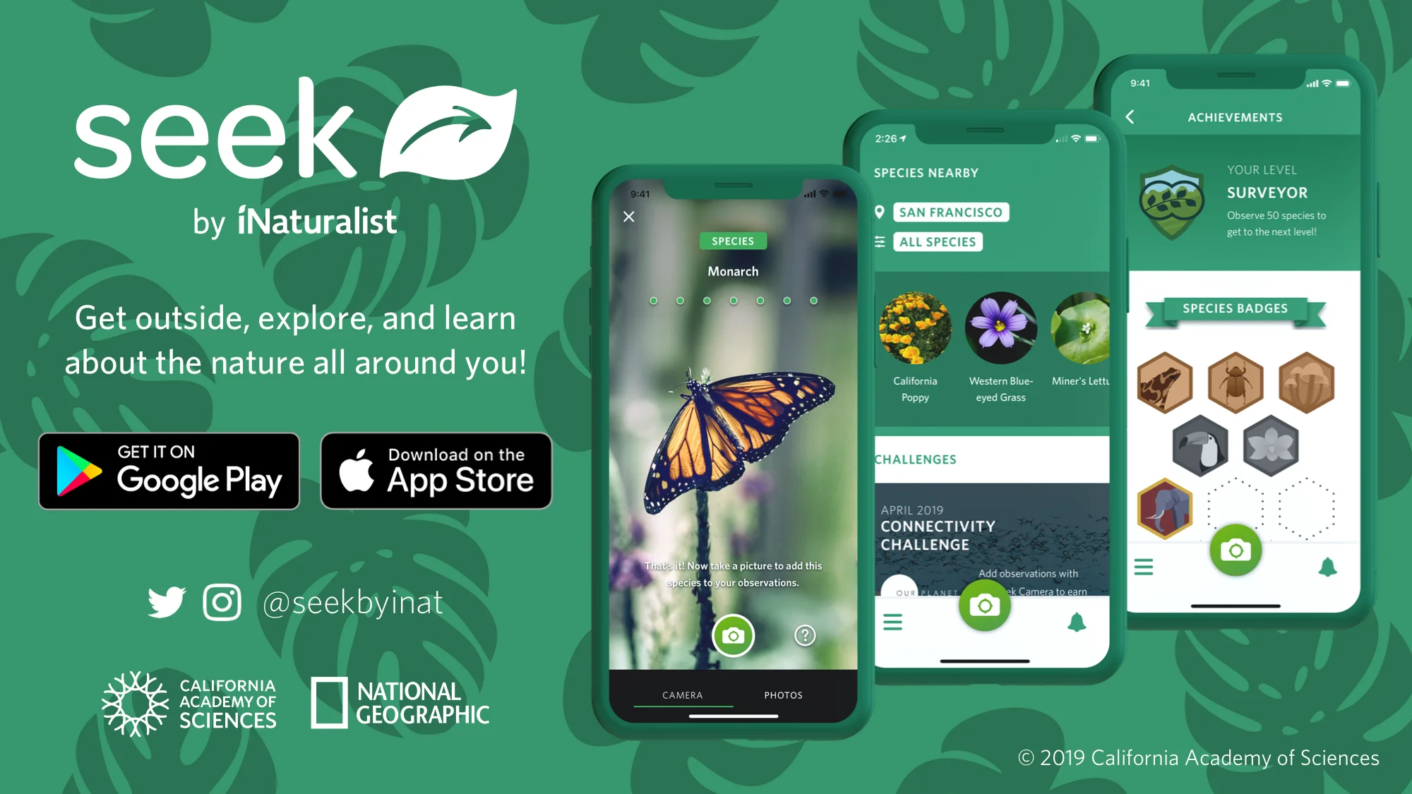  Seek by iNaturalist  App |  tree identification app
