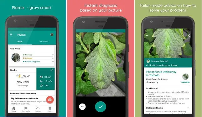 plant identification application
