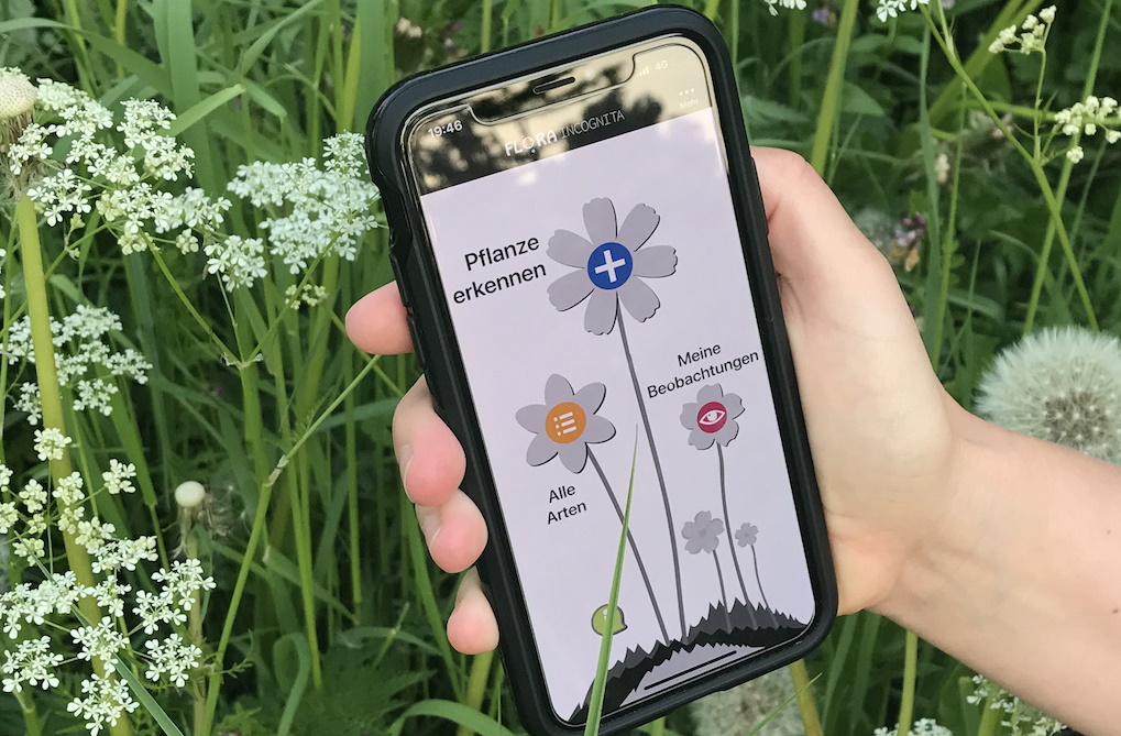 plant identification app
