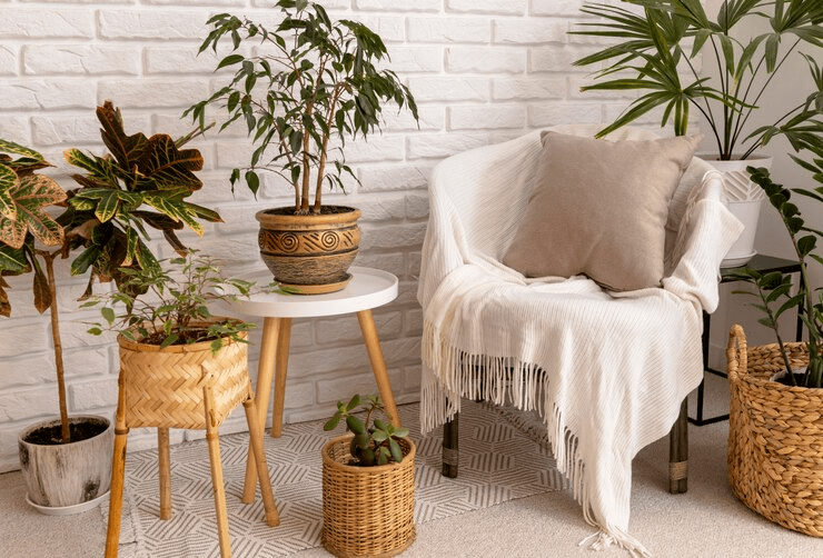 boh furniture style 