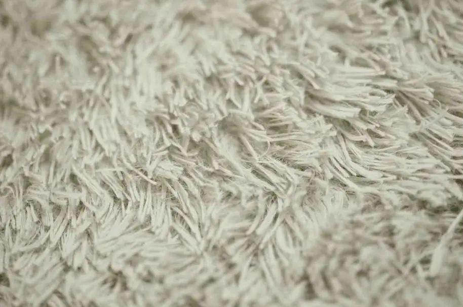 All You Need To Know about Carpet | What Is Carpet | Types of Carpets| How To Pick One 2 Cut Pile Carpets