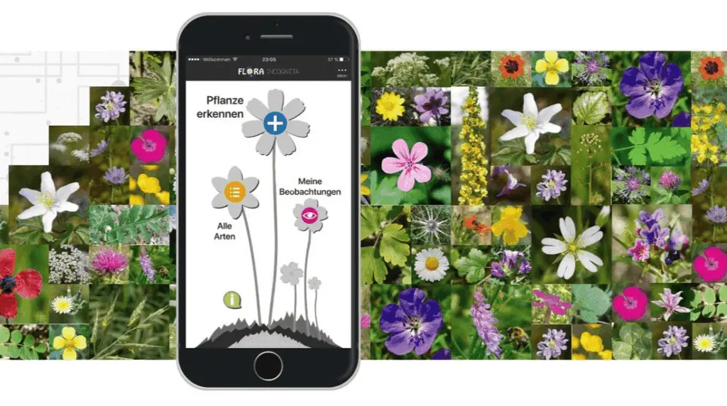 The Best 10 Free Plant Identification App 2 free plant identifier