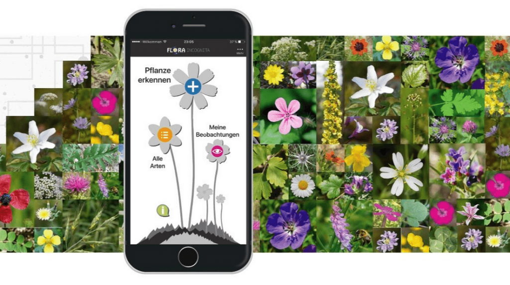 free plant identifier
