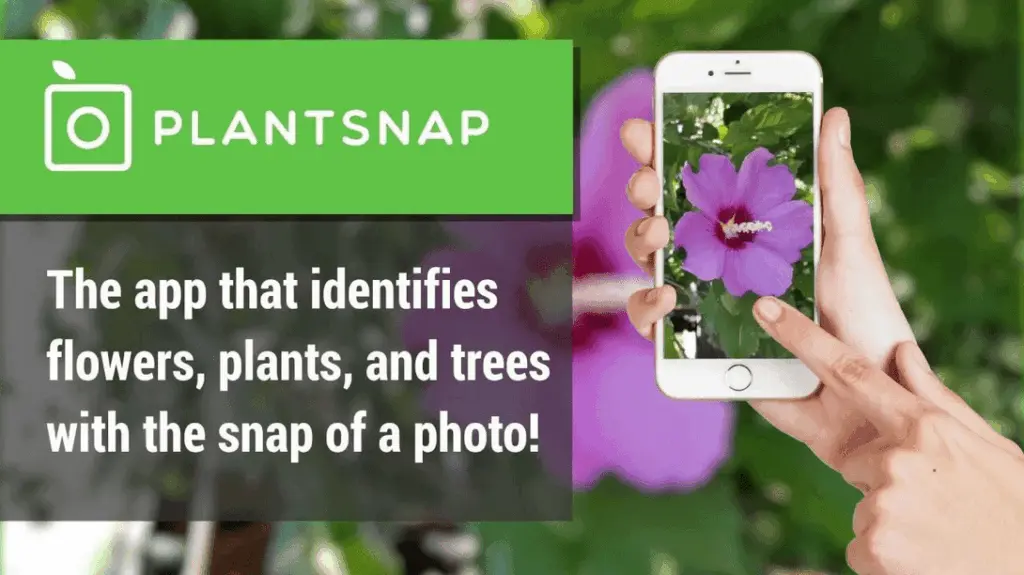 The Best 10 Free Plant Identification App 3 app to identify plants