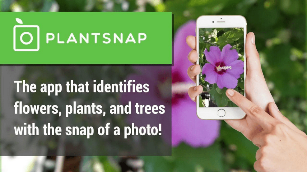 app to identify plants
