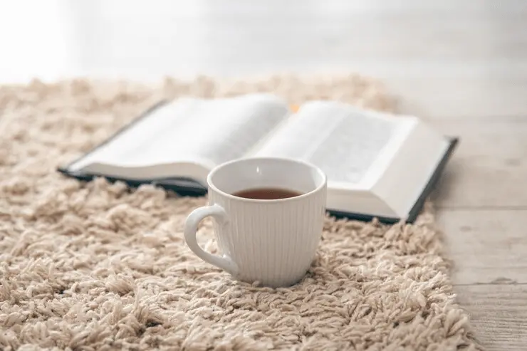 rug carpet difference
