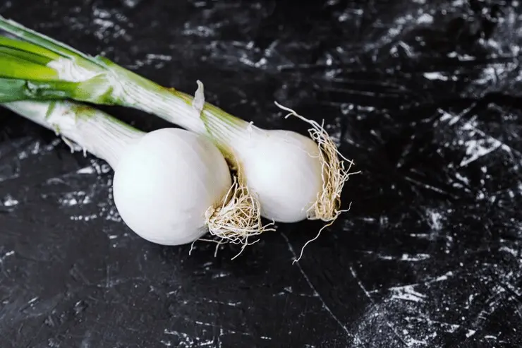 Growing Onion | All You Need To Know (Care, Soil, Planting...) 3 Growing Onion