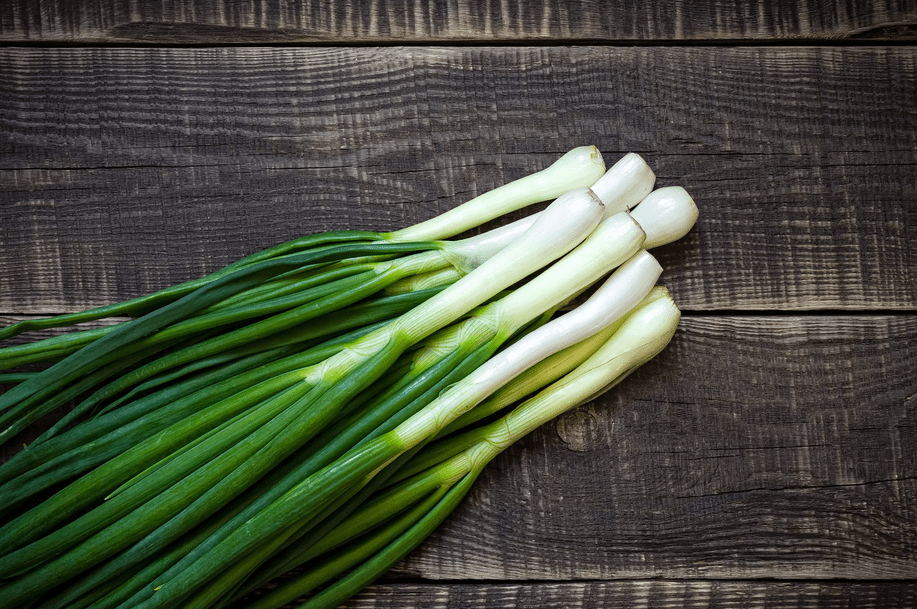 growing green onions
