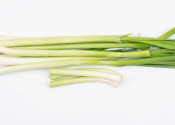Can I grow green onions indoors? - The Ultimate Guide