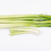 Can I Grow Scallions Indoors? - The Ultimate Guide 12 Can I grow green onions indoors? - The Ultimate Guide
