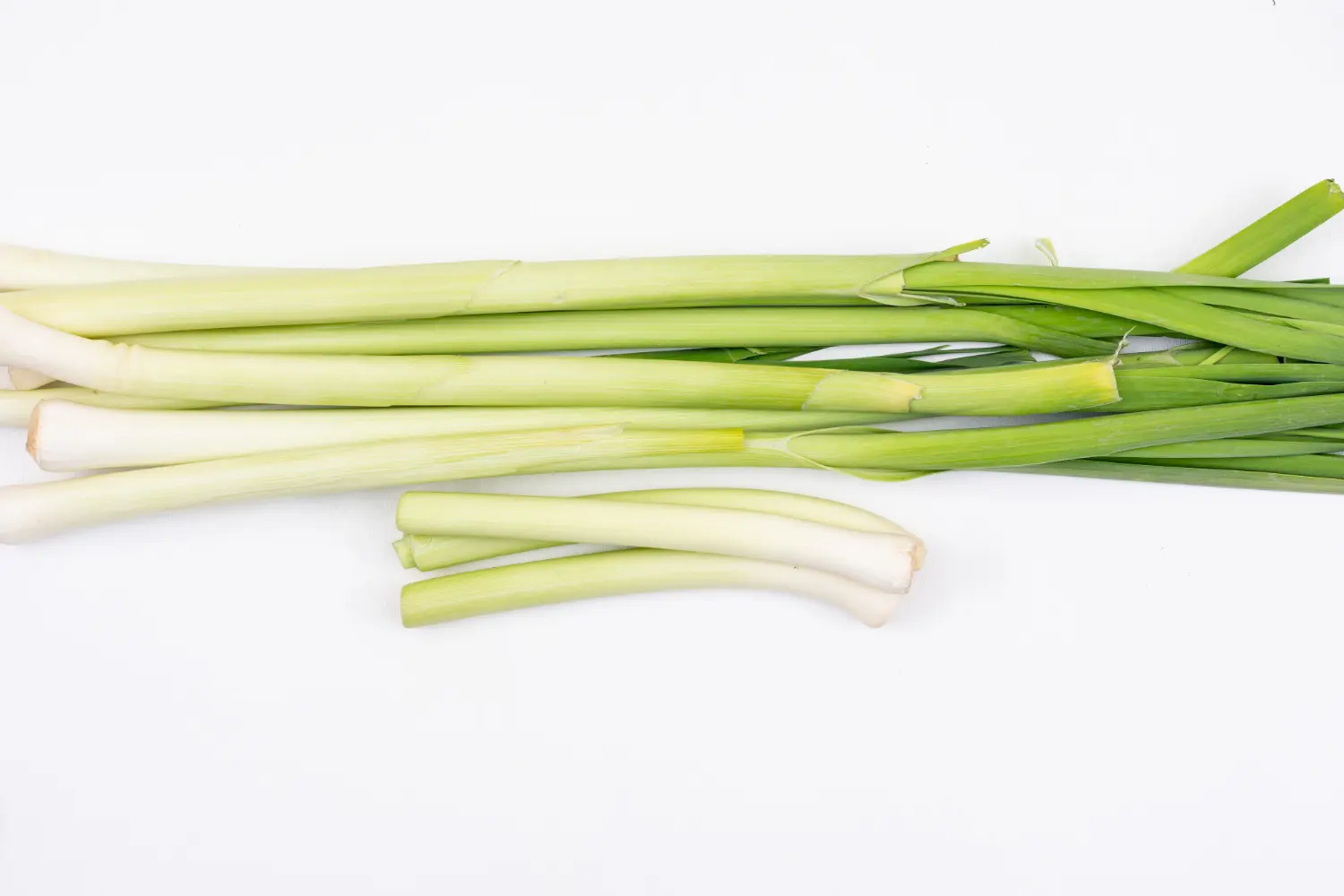 Can I grow green onions indoors? - The Ultimate Guide