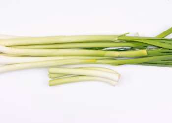 Can I grow green onions indoors? - The Ultimate Guide
