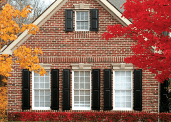 The Best 15 Shutter Color Ideas You Will Love !
