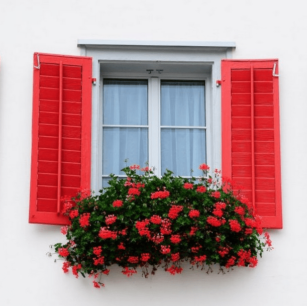 Red Shutter Color