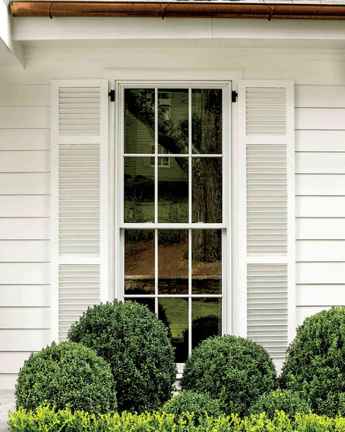 white shutters
