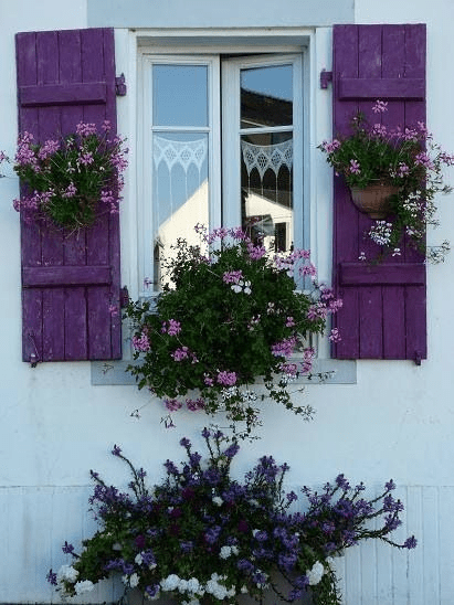 exterior house shutters ideas
