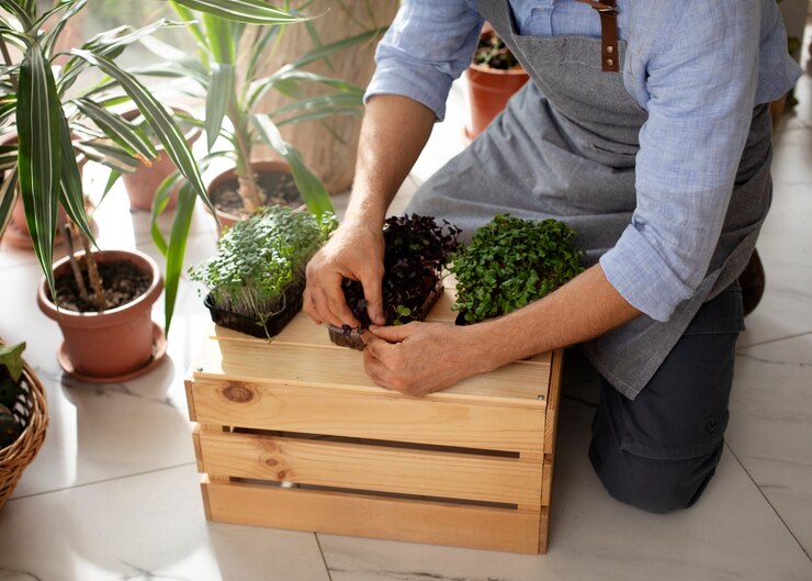 Container Gardening