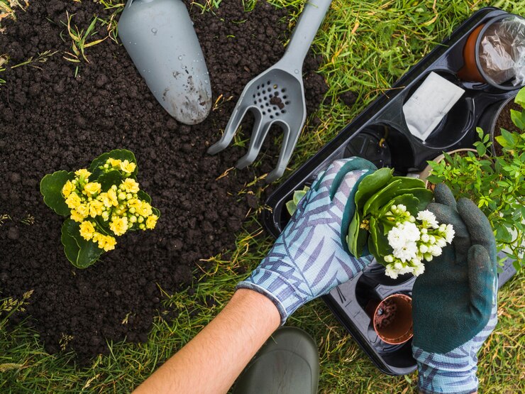 Garden Maintenance