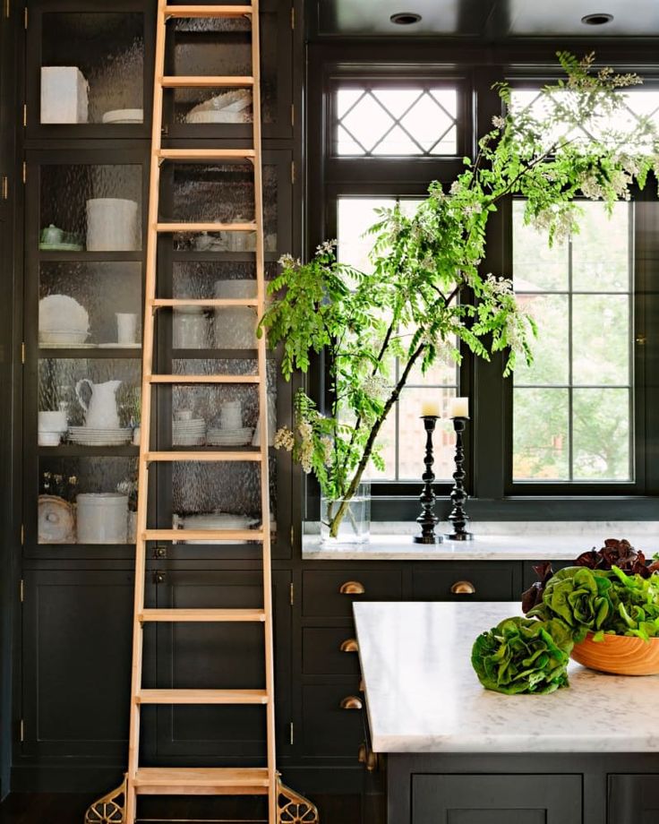 Kitchen Ladder