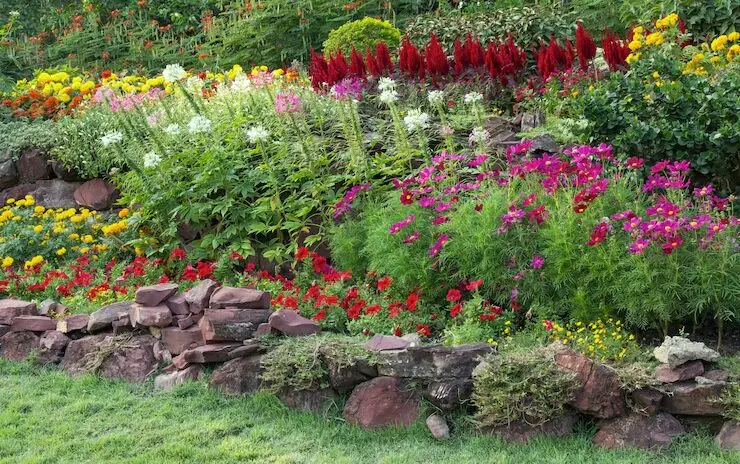 The Best 20 landscaping design Ideas in 2024 ! 6 Low-Maintenance Landscapes