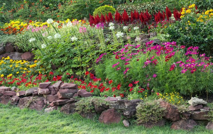 Low-Maintenance Landscapes