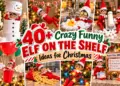 Crazy Funny Elf Christmas Ideas