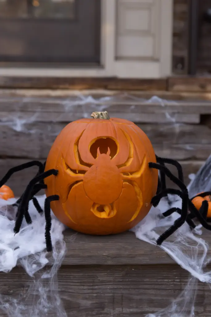 40+ Easy Pumpkin Carving Ideas for Fall & Holidays 17 Spider Pumpkin Carving